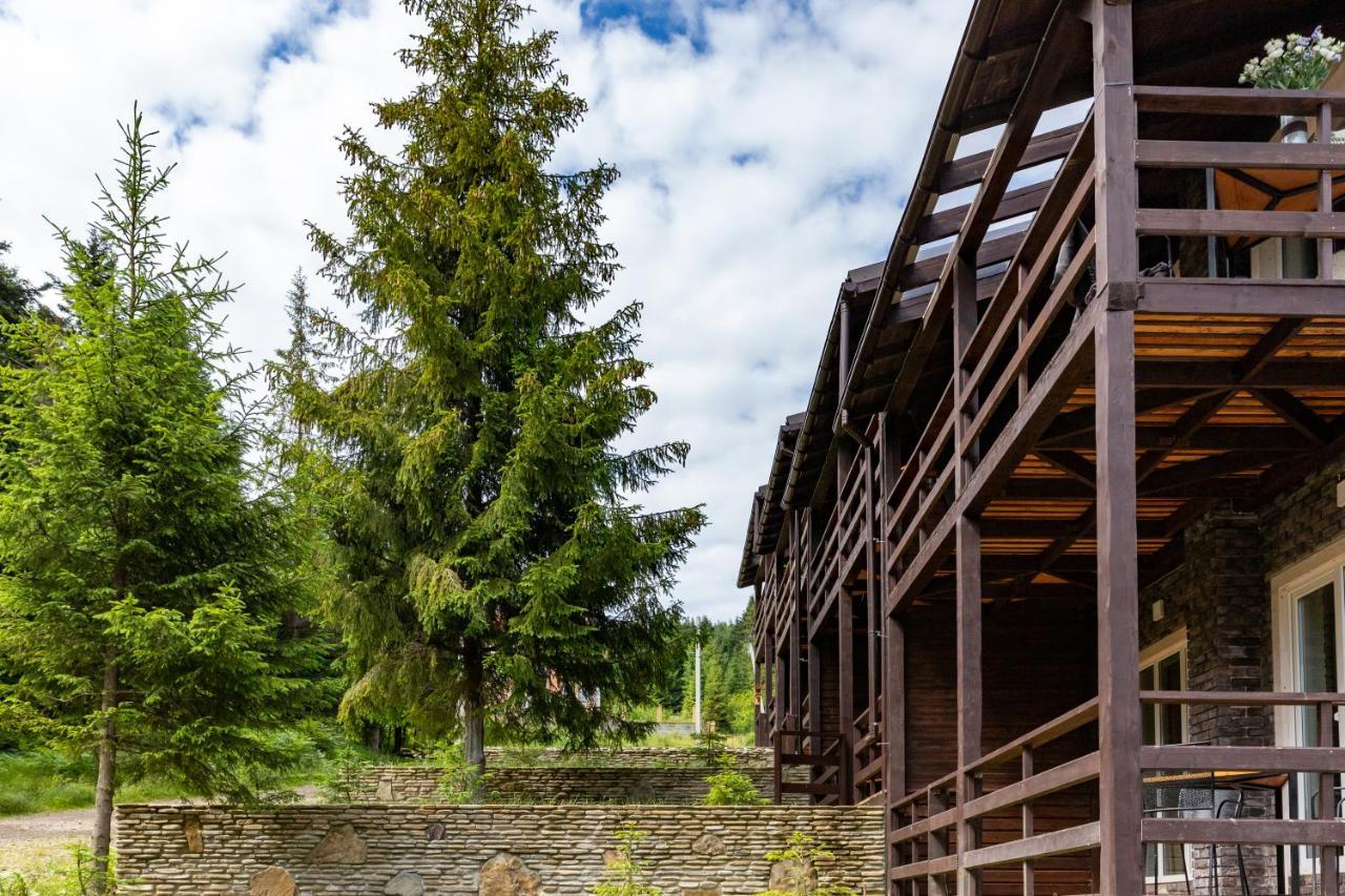 Парк-Готель Щастя Skhidnytsia Buitenkant foto