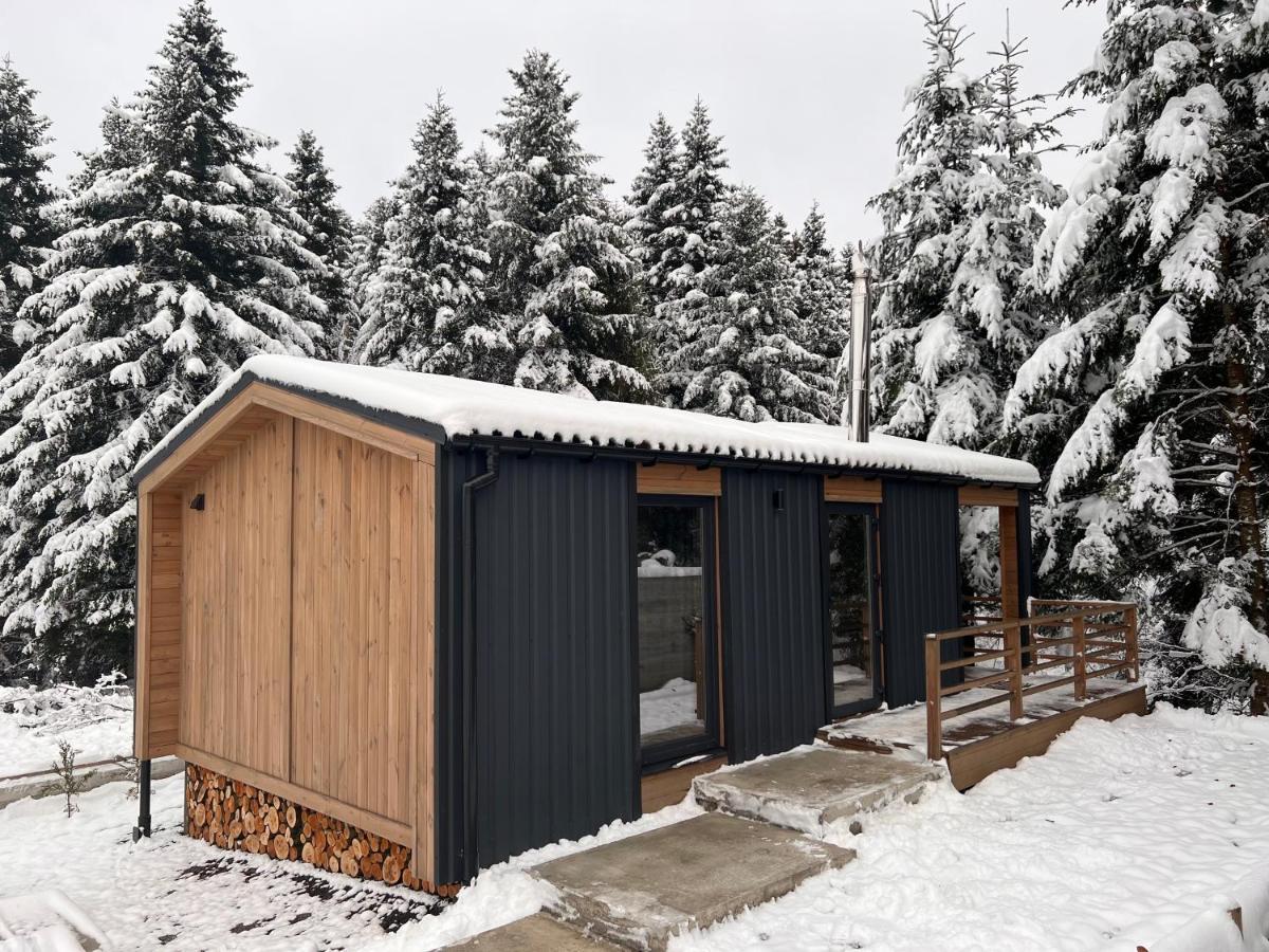 Парк-Готель Щастя Skhidnytsia Buitenkant foto