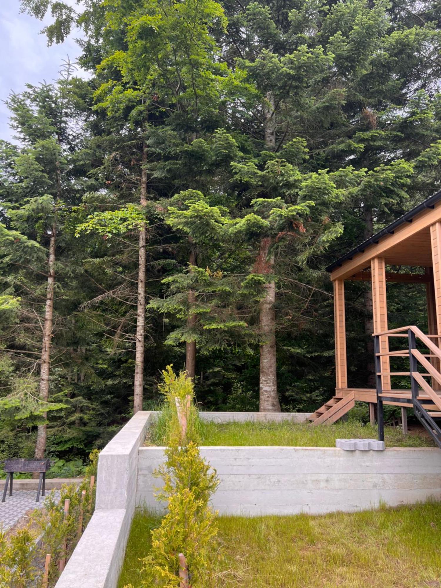 Парк-Готель Щастя Skhidnytsia Buitenkant foto